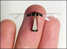 Insect Surveillance Drones Spotted at US Political Rallies