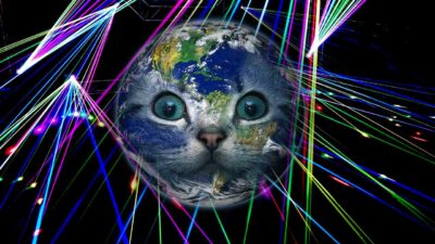 laser cat bowling