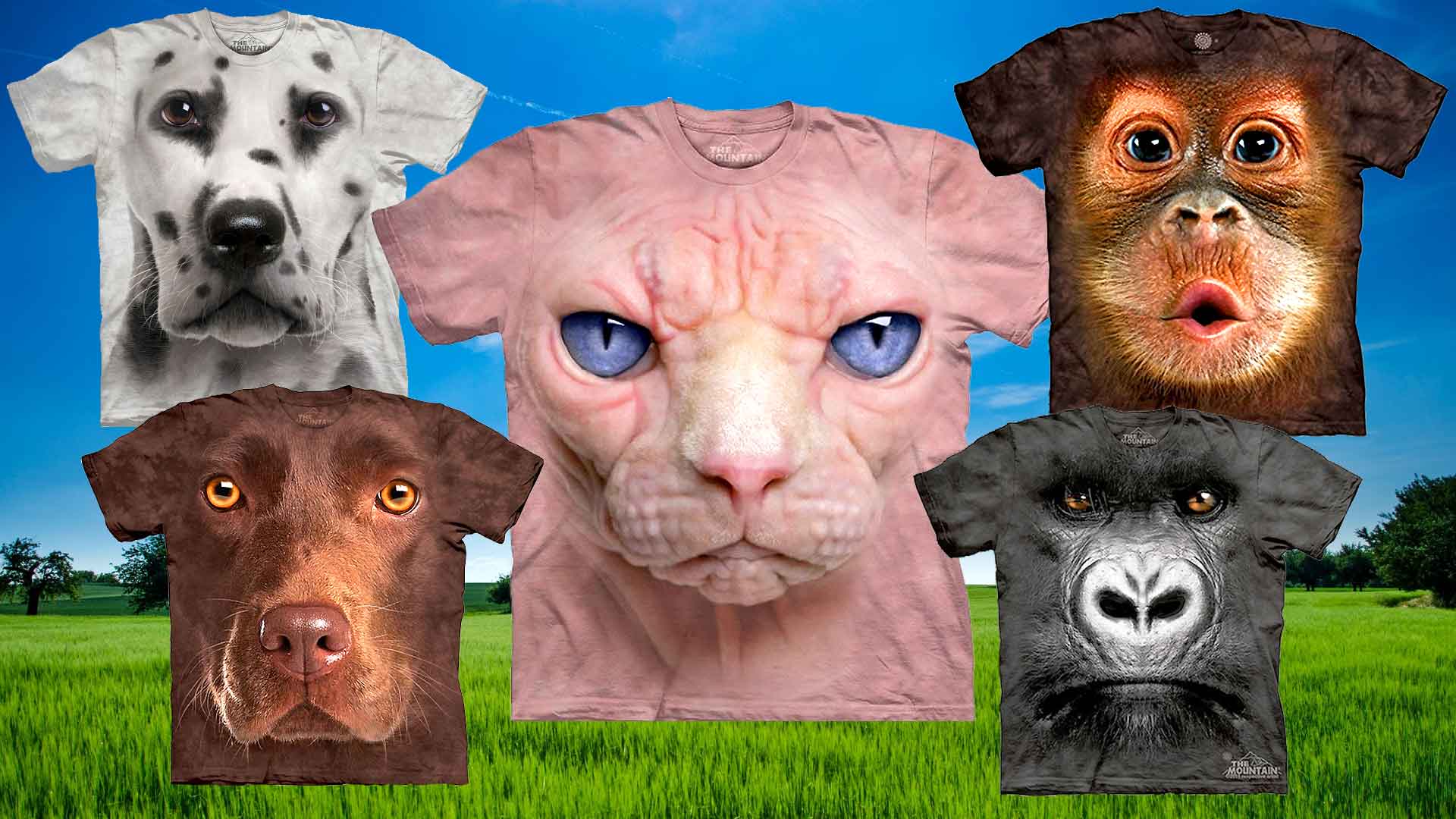 Incredibly Realistic 3D Animal T-Shirts. Don't Worry They Won't Bite!