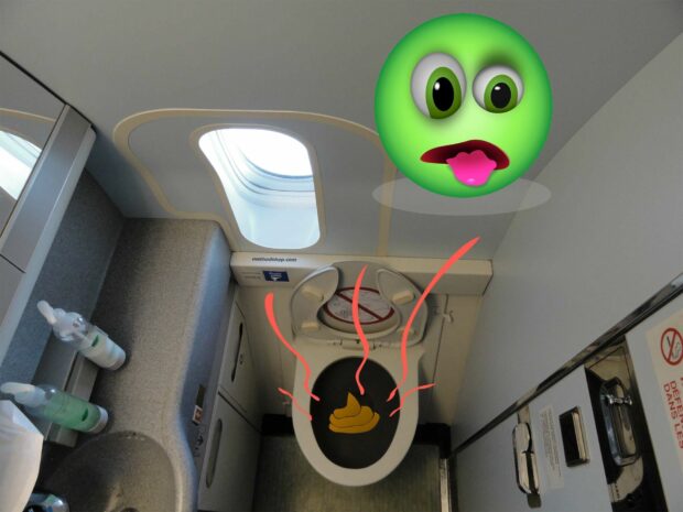 Airplane Toilets Are Gross