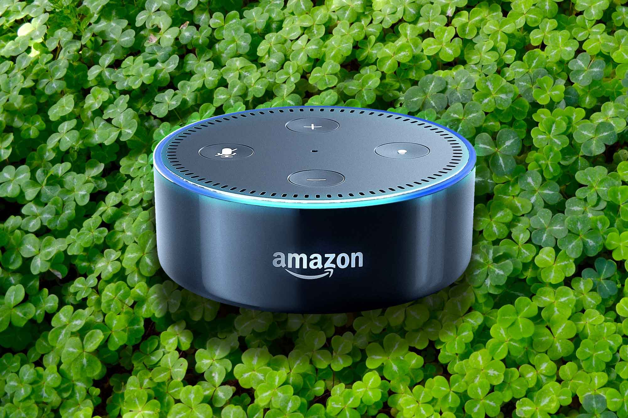 7 Fun Things To Ask Alexa On St. Patrick's Day