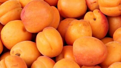 apricots bkgd