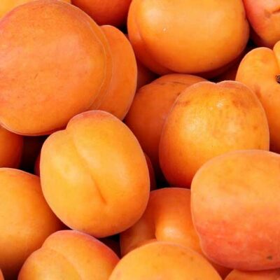 apricots bkgd