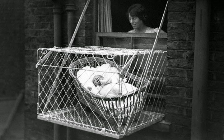 Baby Cages