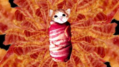 10 Best Photos From The Pepper Spray Meme - Bacon Cat 1