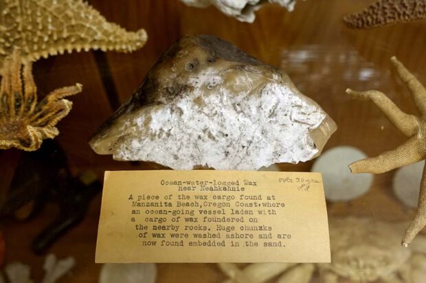 A Piece Of Beeswax Found On Manzanita Beach, Oregon From The Santo Cristo De Burgos Shipwreck