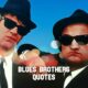 Quotes From The Blues Brothers Quotes
