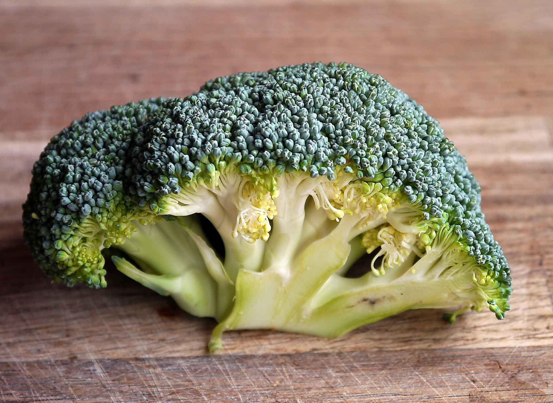 Sorry Kids, British Scientists Are Growing Super Broccoli