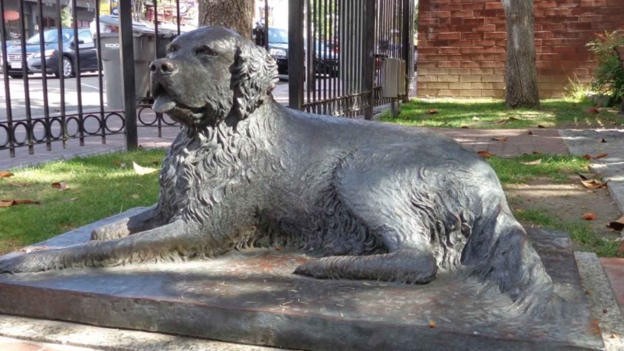 Remembering Bum The Dog: Alcoholic Dog Gets A Memorial Statue In San Diego