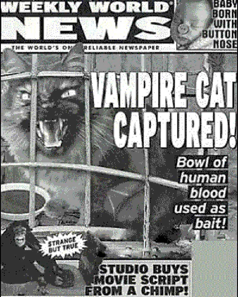 World this week. Weekly World News газета. World News Cat. Человек кот городская Легенда. Картинка для сайта газеты News Cats.