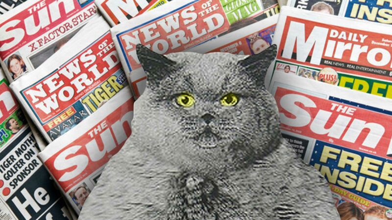 Ridiculous Tabloid Headlines (About Cats)