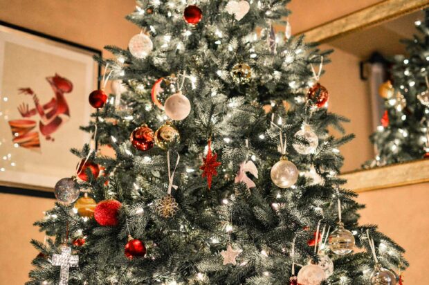 A Decorated Christmas Tree