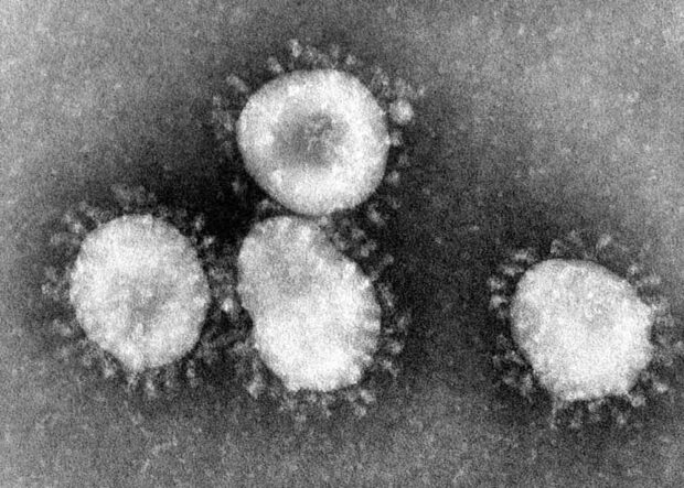 Coronavirus Halo
