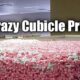 10 Crazy Cubicle Pranks