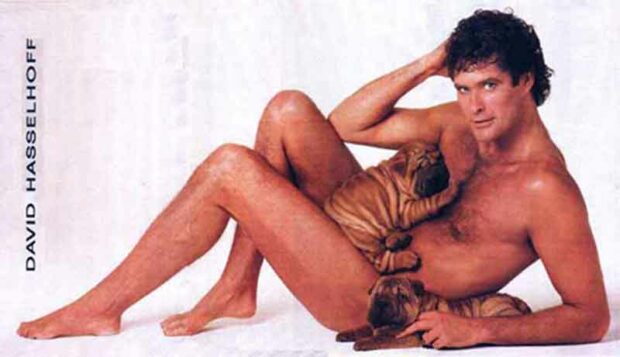 David Hasselhoff Photos: Naked With Dogs