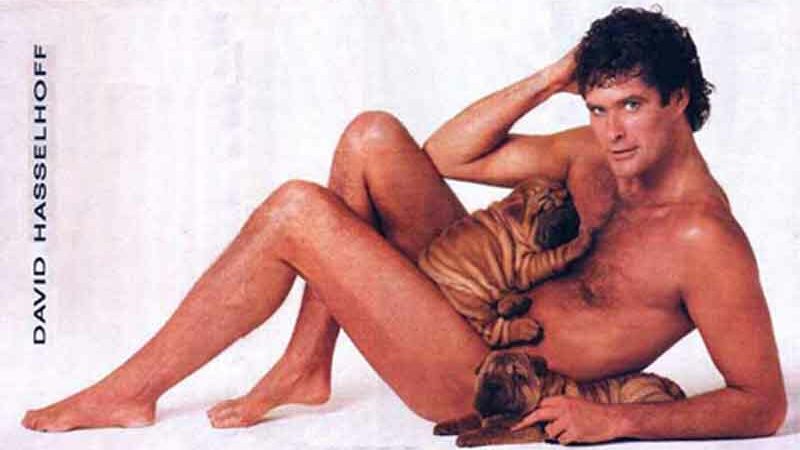 David Hasselhoff Naked With Dogs