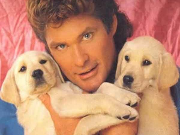David Hasselhoff Holding Puppies