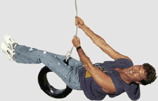 David Hasselhoff On A Tire Swing
