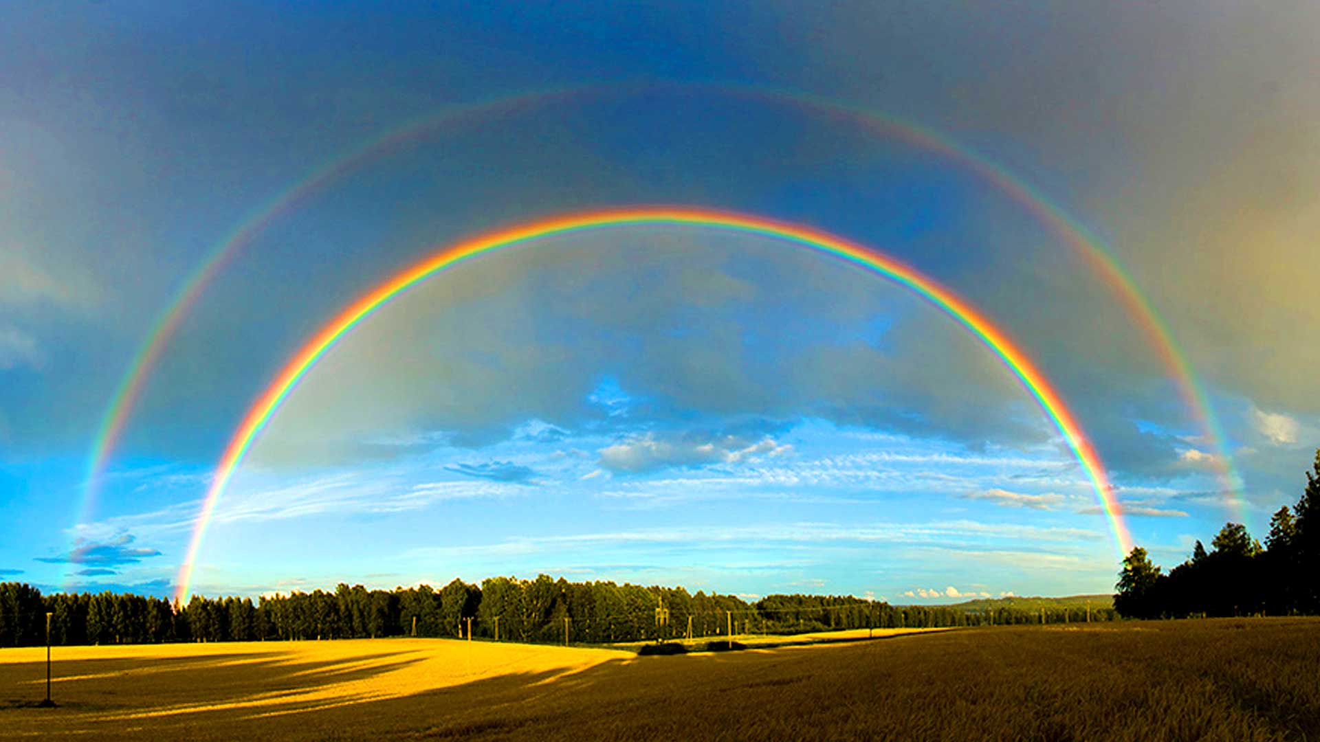 The Double Rainbow Viral Video - It's So Intense!