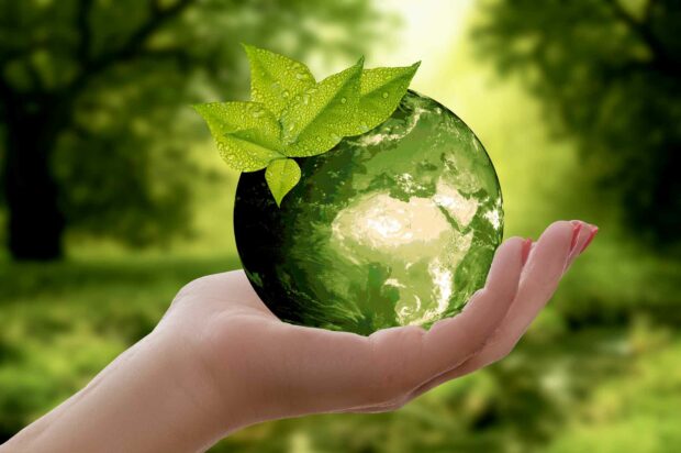 Environmental Policy &Amp; Earth Day - Green Tips For Earth Day