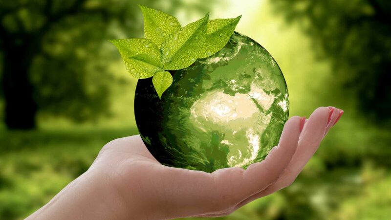 Earth Day - Green Tips For Earth Day
