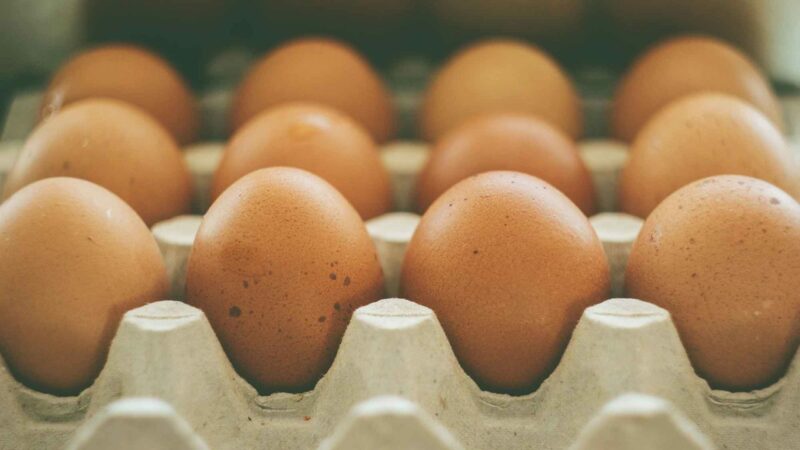 Eggs Carton Food Healthy Protein Organic