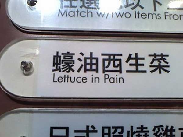 Lettuce In Pain