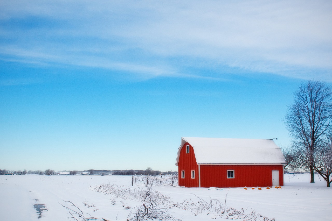 Barn, Snow, Farm