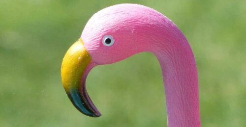 Plastic Flamingo