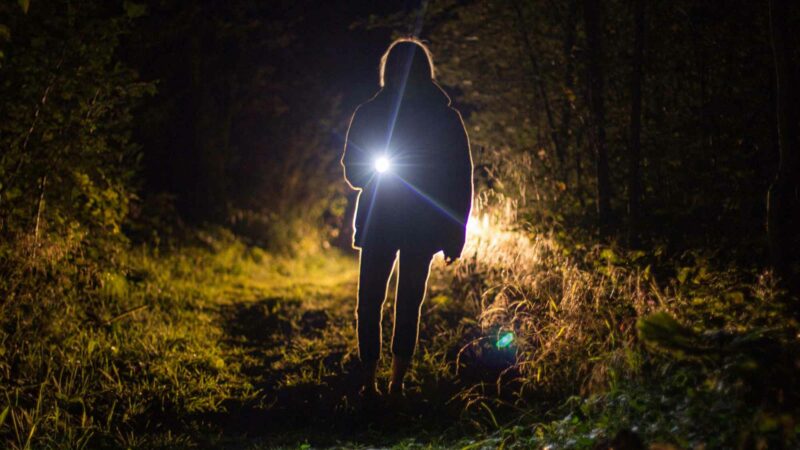Woman With A Flashlight In The Woods