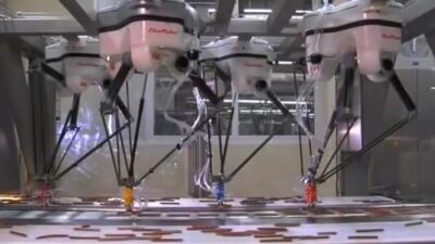 Food Robots