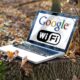 google wifi laptop woods