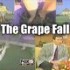 Grape Fall Lady