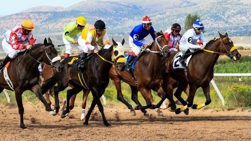 Horse Race IN Wyoming
