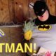 how to batman