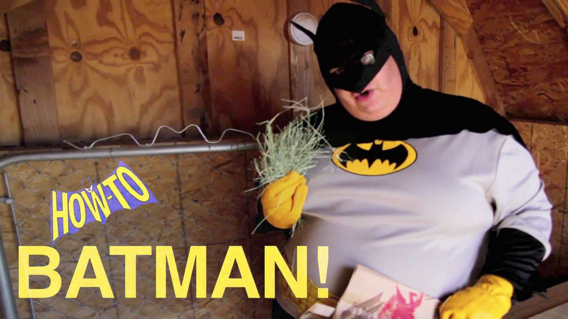 How To Batman Teaches You How To Properly Order From Subway Restaurant