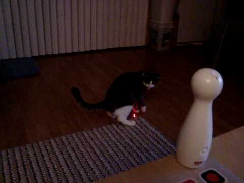 Why The FroliCat Laser Cat Toy Is My Cat's New Favorite Toy