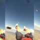 A skydiver drops their iPhone while jumping from an airplane.
