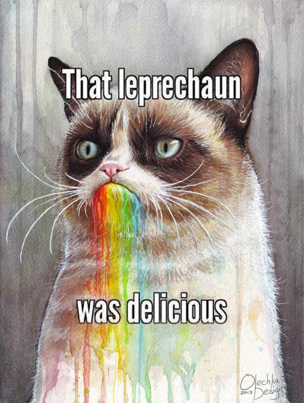 That Leprechaun Was Delicious!