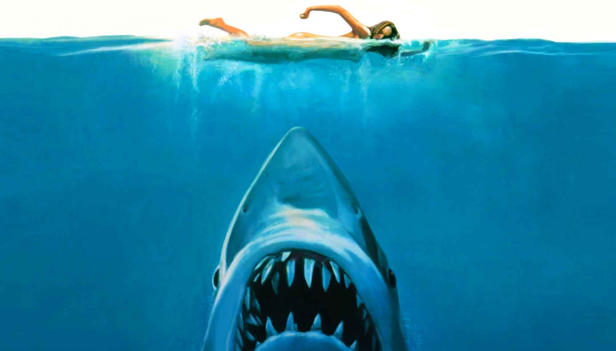 20 Heart-Pounding Jaws Quotes Listed In The Film's Chronological Order