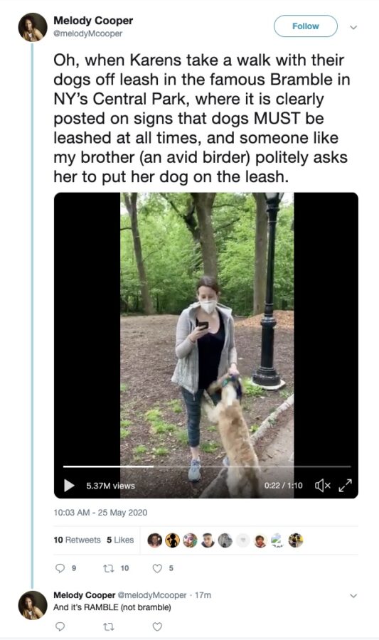 Amy Cooper, The Central Park Karen, Calling Police On A Black Birdwatcher 