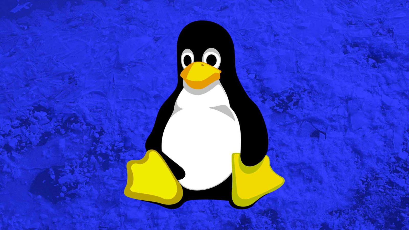 the-history-of-linux-how-linux-was-announced-to-the-world-in-1991