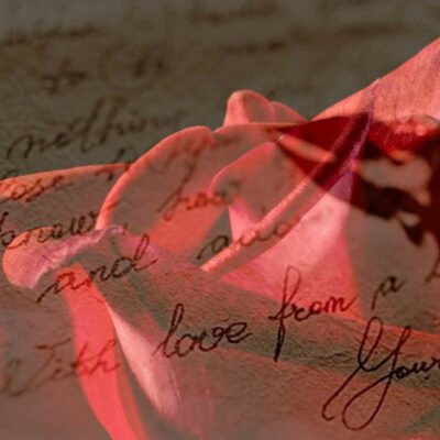 Love Letter Rose