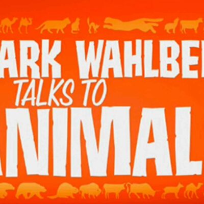 Mark Wahlberg Talks to Animals