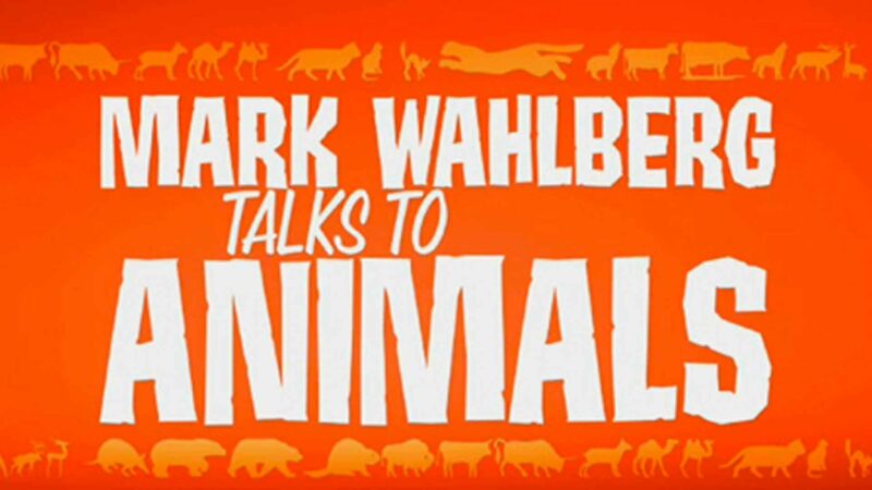 Mark Wahlberg Talks to Animals