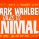 mark wahlberg talks animals