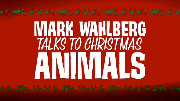 Mark Wahlberg Talks To Christmas Animals