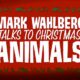 mark wahlberg talks christmas animals