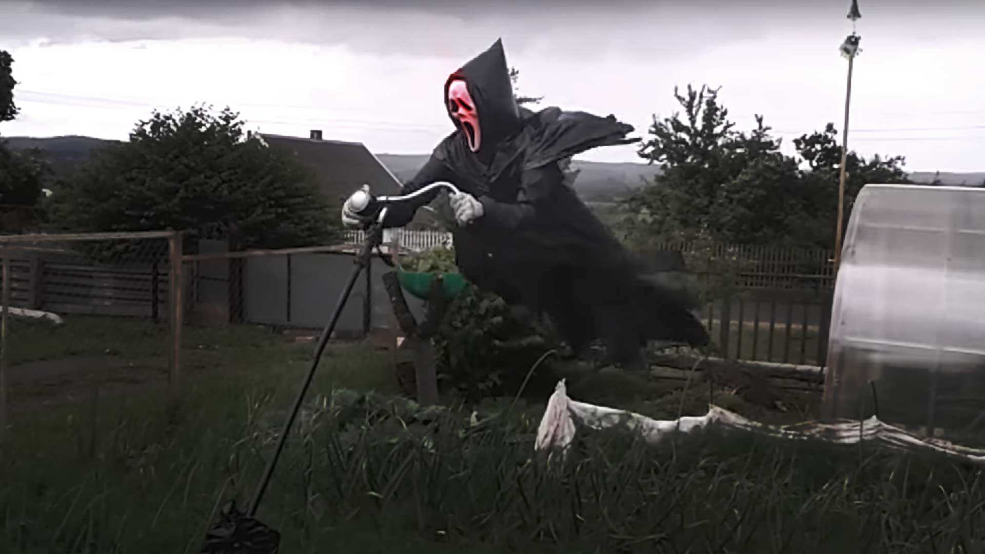 wizard of odds scarecrow with a gun