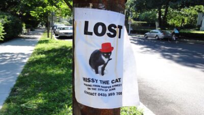 missing missy lost